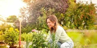 Klimafreundlich gärtnern: Jetzt torffrei in den Herbst starten Klimafreundlich gärtnern: Jetzt torffrei in den Herbst starten