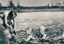 Geheimnisse des Mückenwaldes, Teil 2 Geheimnisse des Mückenwaldes, Teil 2