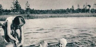 Geheimnisse des Mückenwaldes, Teil 2 Geheimnisse des Mückenwaldes, Teil 2