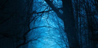 Höruper Horrorwald Höruper Horrorwald Geister, Gespenster und Gruselgestalten