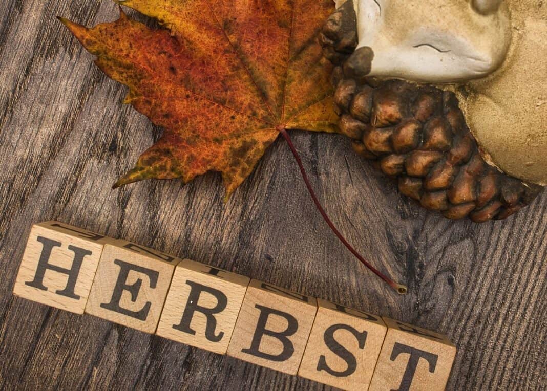 Herbst im echten Norden – bunt, draußen und unvergesslich