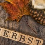 Herbst im echten Norden – bunt, draußen und unvergesslich Herbst im echten Norden – bunt, draußen und unvergesslich