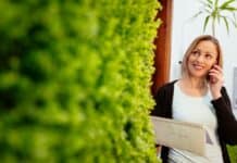 Kunst-Mooswände zwischen Konstruktion und Atmosphäre