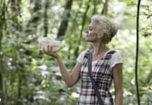 100 Jahre Naturwissenschaftliches Museum