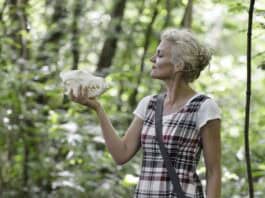 100 Jahre Naturwissenschaftliches Museum