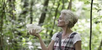 100 Jahre Naturwissenschaftliches Museum