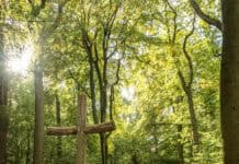 Alternative Möglichkeiten des letzten Abschieds Alternative Möglichkeiten des letzten Abschieds