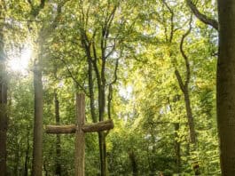 Alternative Möglichkeiten des letzten Abschieds Alternative Möglichkeiten des letzten Abschieds