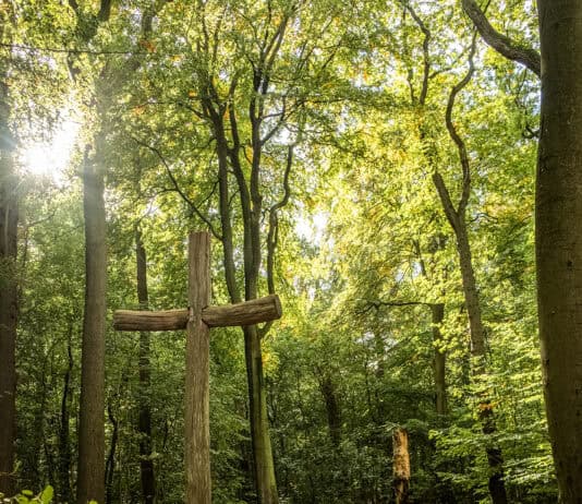 Alternative Möglichkeiten des letzten Abschieds Alternative Möglichkeiten des letzten Abschieds