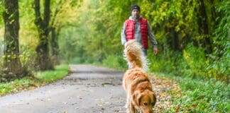 Nasses Herbstlaub bringt Passanten ins Rutschen: Wer haftet bei Unfällen? Nasses Herbstlaub bringt Passanten ins Rutschen: Wer haftet bei Unfällen?