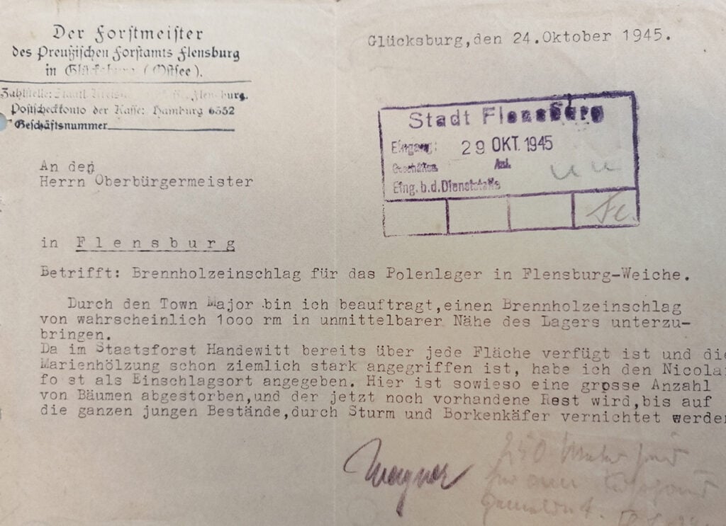 Geheimnisse des Mückenwaldes, Teil 3