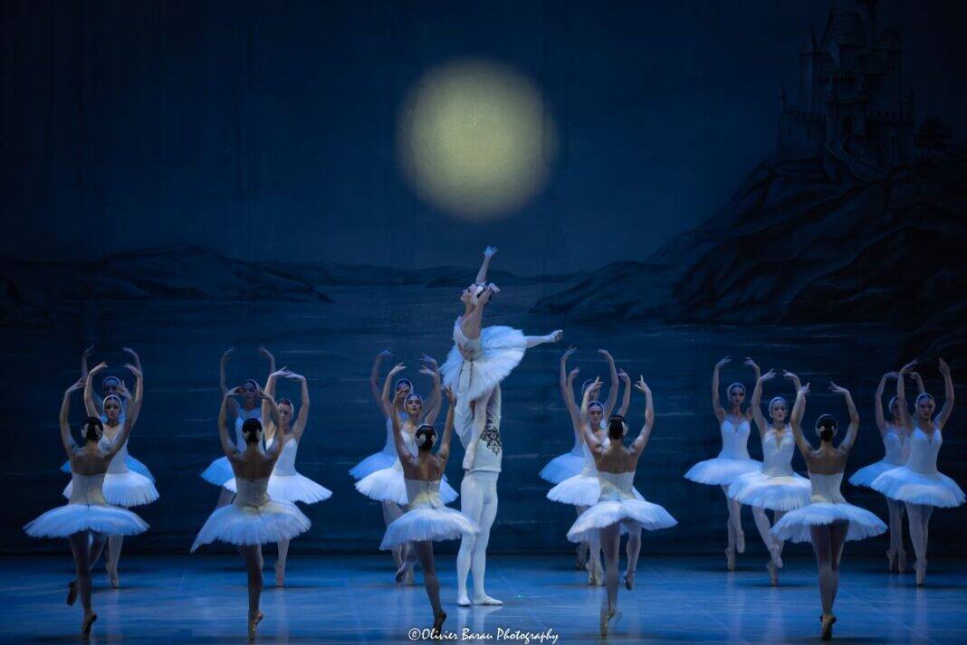 OLI_3359-Modifier Schwanensee