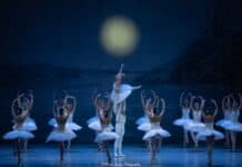 Schwanensee Schwanensee