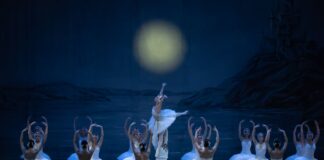 Schwanensee Schwanensee