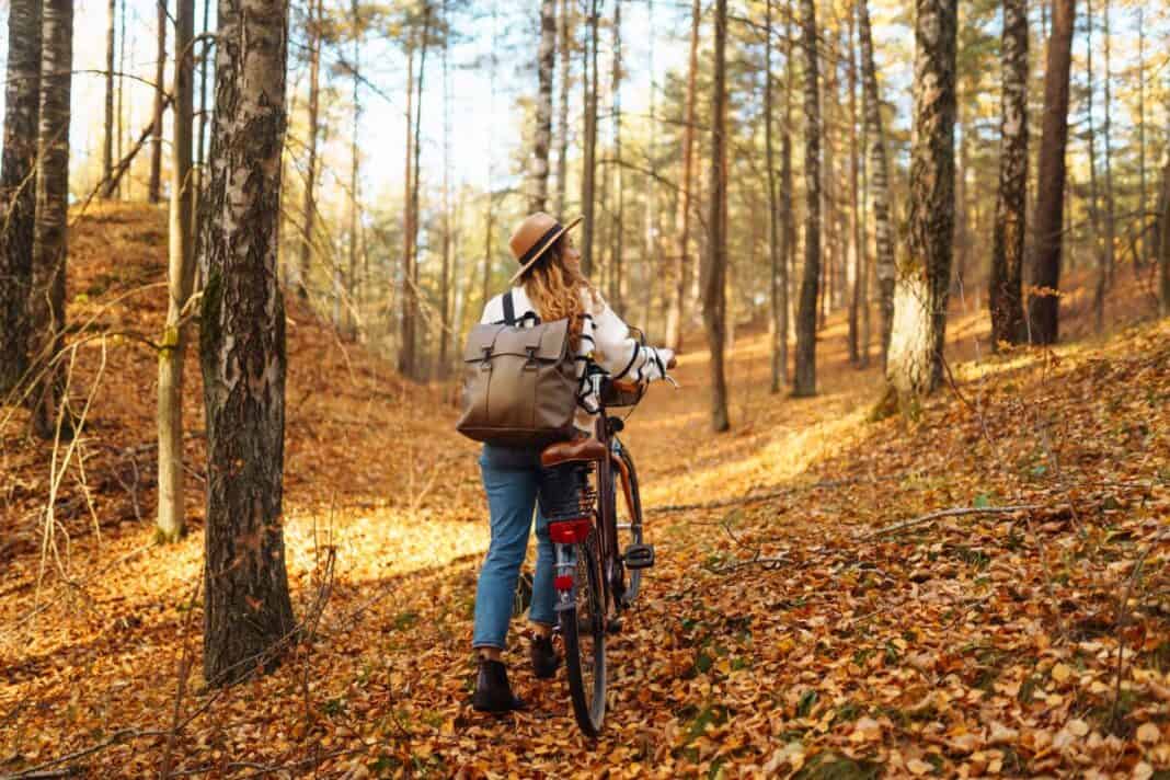 Mit dem Rad durch den Herbst