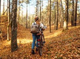 Mit dem Rad durch den Herbst Mit dem Rad durch den Herbst
