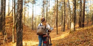 Mit dem Rad durch den Herbst Mit dem Rad durch den Herbst