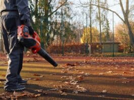 Gegen das Blättermeer im Herbst: Laubbläser sicher nutzen Gegen das Blättermeer im Herbst: Laubbläser sicher nutzen