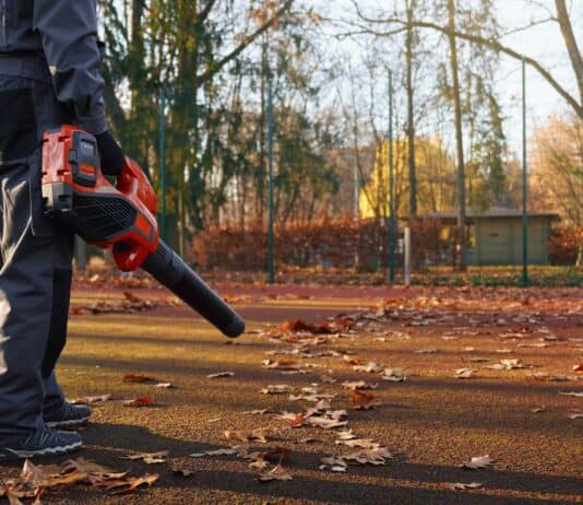 Gegen das Blättermeer im Herbst: Laubbläser sicher nutzen Gegen das Blättermeer im Herbst: Laubbläser sicher nutzen
