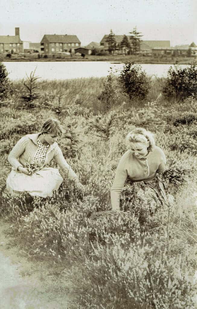 Geheimnisse des Mückenwaldes, Teil 4