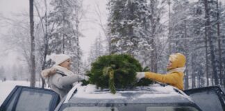 So kommt der Weihnachtsbaum sicher nach Hause So kommt der Weihnachtsbaum sicher nach Hause