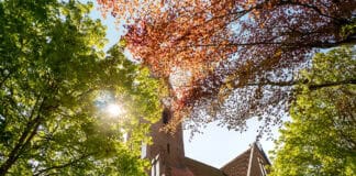 Stadtführungen in Flensburg im Dezember 2025 Stadtführungen in Flensburg im Dezember 2025