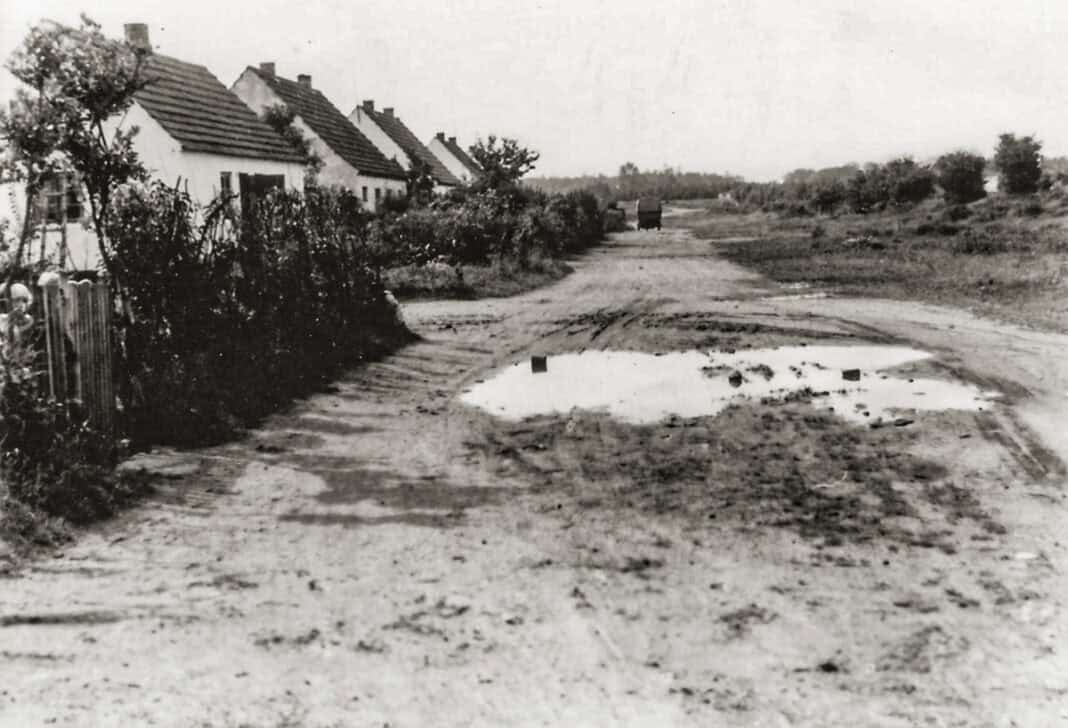 Geheimnisse des Mückenwaldes, Teil 4