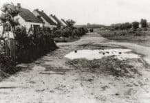 Geheimnisse des Mückenwaldes, Teil 4 Geheimnisse des Mückenwaldes, Teil 4