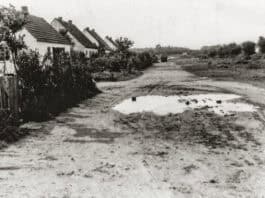 Geheimnisse des Mückenwaldes, Teil 4 Geheimnisse des Mückenwaldes, Teil 4