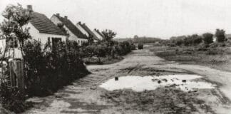 Geheimnisse des Mückenwaldes, Teil 4 Geheimnisse des Mückenwaldes, Teil 4