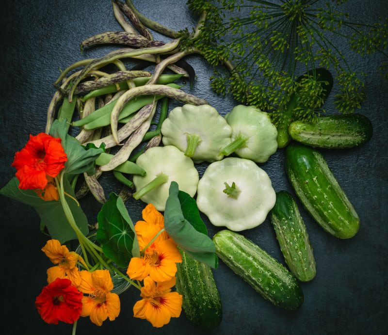 Essbare Blumen: Genuss für Auge und Gaumen