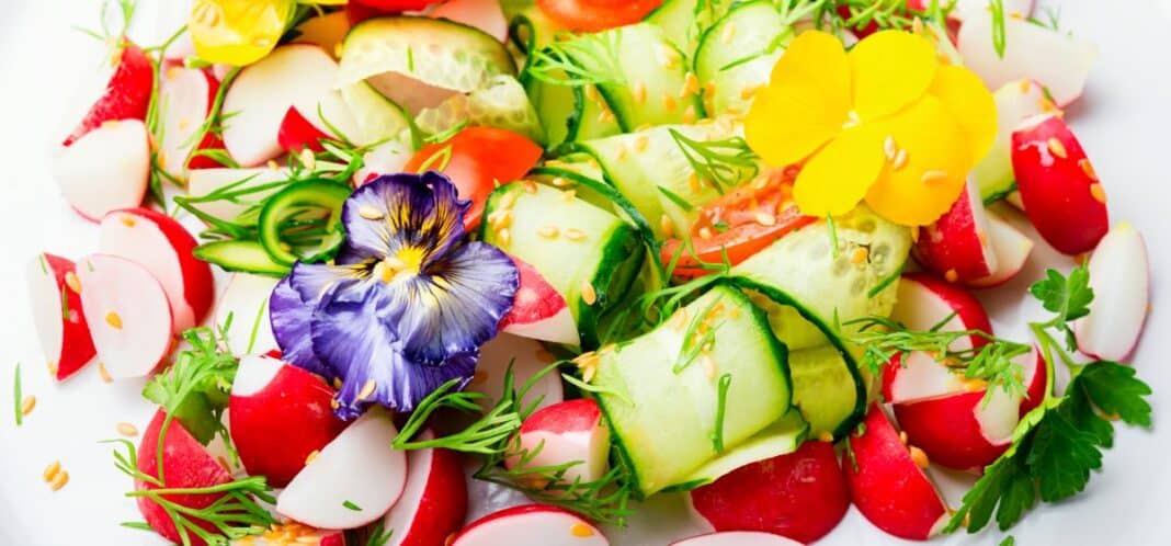 spring-salad-with-vegetables-and-edible-flowers-di-2025-10-15-01-41-54-utc Essbare Blumen: Genuss für Auge und Gaumen