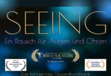 Seeing – Ein Rausch für Augen und Ohren – by Matthias Krohn Seeing - Ein Rausch für Augen und Ohren - by Matthias Krohn