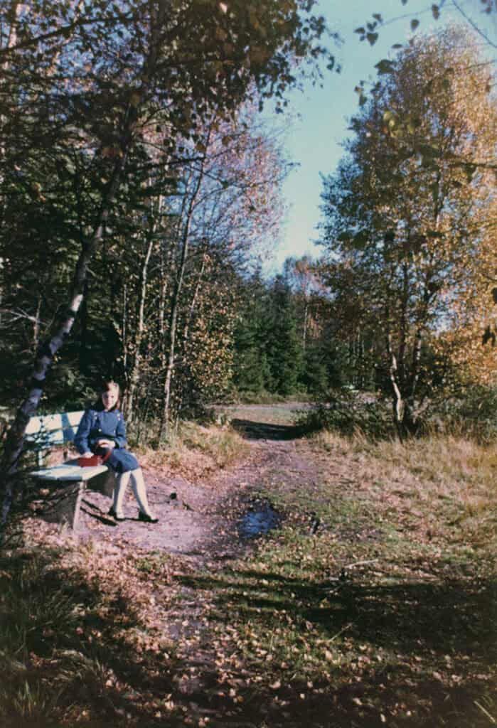 Geheimnisse des Mückenwaldes, Teil 5