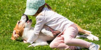 Auch kleine Haustierbisse bergen hohe Infektionsgefahr Auch kleine Haustierbisse bergen hohe Infektionsgefahr