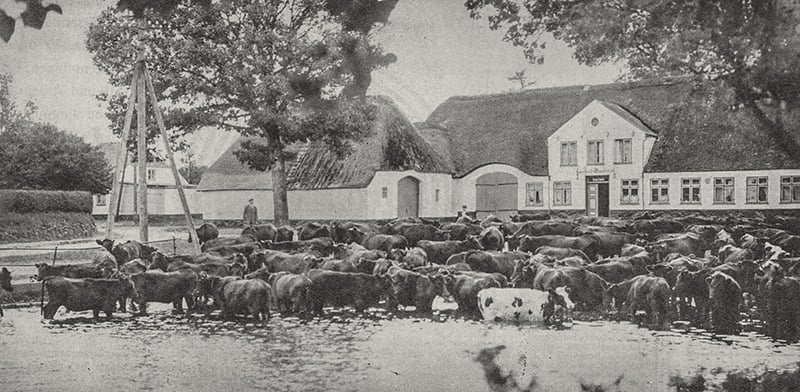 Handewitter Marktplatz: Neubau und Tradition