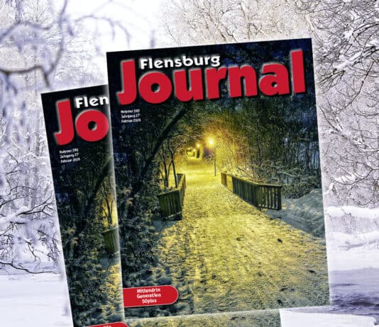 Februar-Ausgabe online!