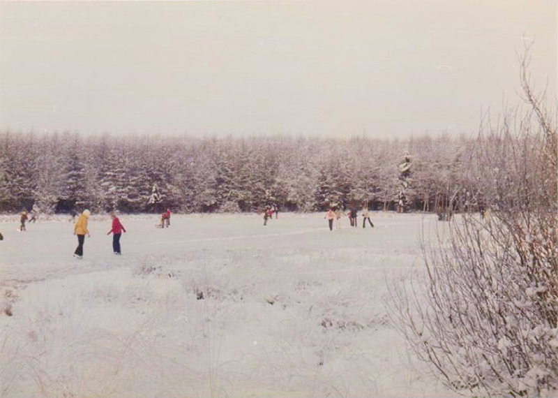 Geheimnisse des Mückenwaldes, Teil 6