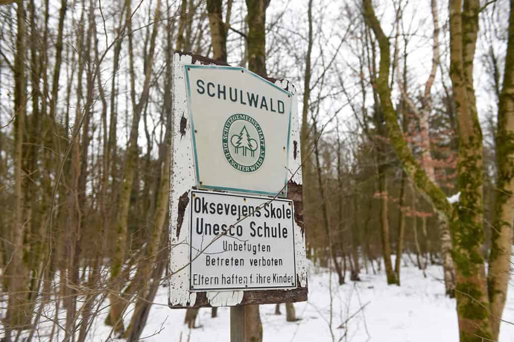 Geheimnisse des Mückenwaldes, Teil 6