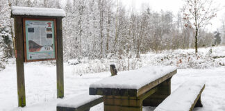 Geheimnisse des Mückenwaldes, Teil 6 Geheimnisse des Mückenwaldes, Teil 6