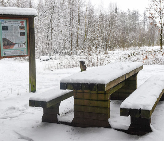 Geheimnisse des Mückenwaldes, Teil 6 Geheimnisse des Mückenwaldes, Teil 6