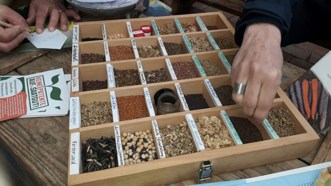 20250405_105809 3. Glücksburger Saatgutbörse bei artefact