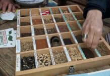 3. Glücksburger Saatgutbörse bei artefact 3. Glücksburger Saatgutbörse bei artefact