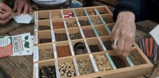 3. Glücksburger Saatgutbörse bei artefact 3. Glücksburger Saatgutbörse bei artefact