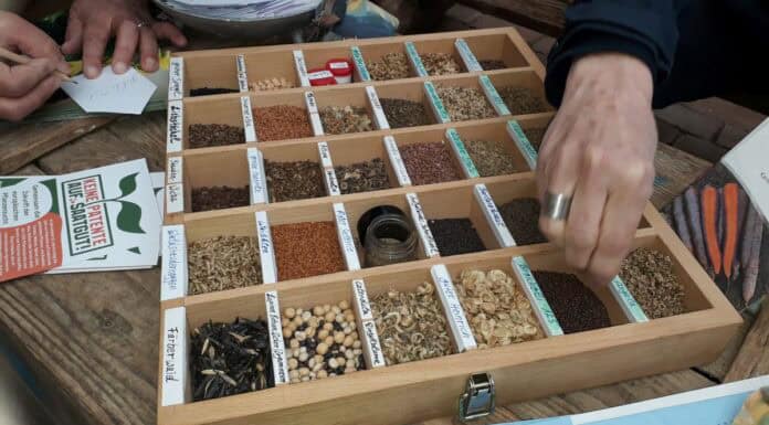 3. Glücksburger Saatgutbörse bei artefact 3. Glücksburger Saatgutbörse bei artefact