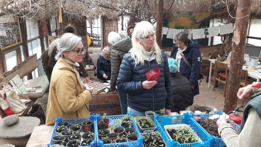 3. Glücksburger Saatgutbörse bei artefact