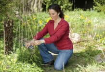 Tipps für den Start ins Gartenjahr Tipps für den Start ins Gartenjahr