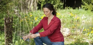 Tipps für den Start ins Gartenjahr Tipps für den Start ins Gartenjahr