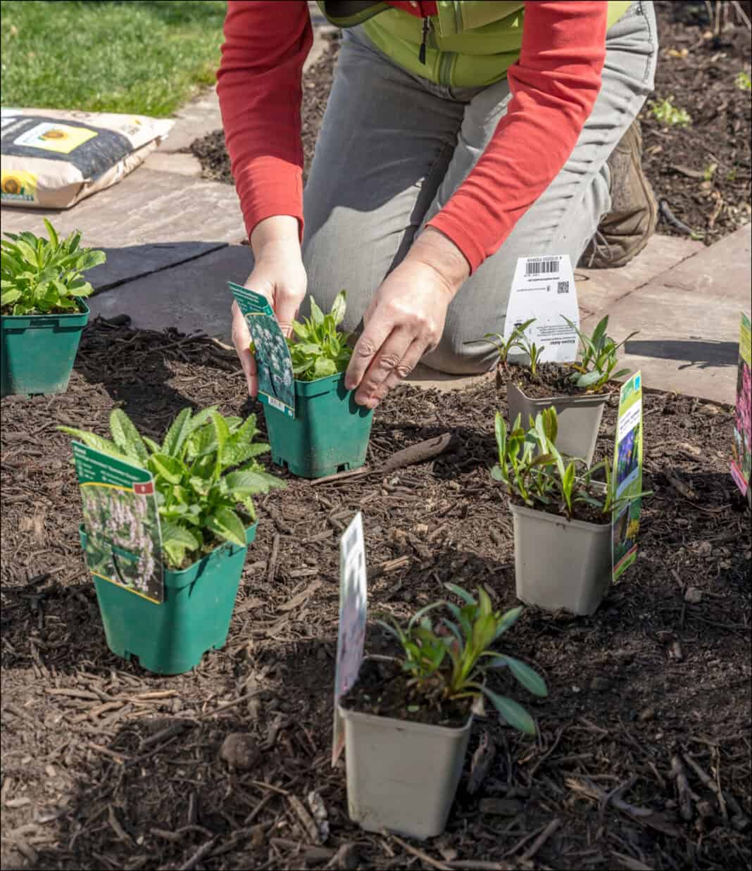 Mit Stauden ein Bienenparadies schaffen