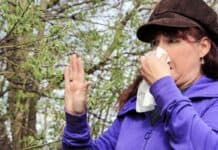 Jetzt beginnt wieder die Leidenszeit für Allergiker in Flensburg Jetzt beginnt wieder die Leidenszeit für Allergiker in Flensburg